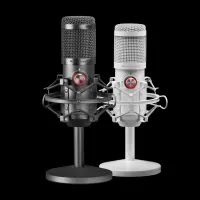 MICROPHONE DE STUDIO PROFESSIONNEL MMICX