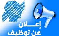 commercial-marketing-travail-libre-pour-les-etudiants-ouled-fayet-alger-algerie