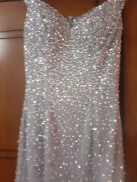 robe sirene argentée 