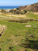 terrain-vente-tipaza-gouraya-algerie