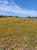 terrain-vente-oran-boutlelis-algerie