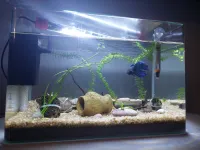 Aqua Importation + accessoires 