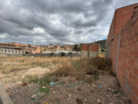 terrain-vente-boumerdes-el-kharrouba-algerie