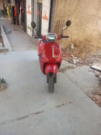 Benli Panera 2023