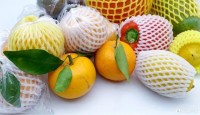 نقل-و-ترحيل-filet-de-mousse-des-fruits-et-legumes-برحال-عنابة-الجزائر