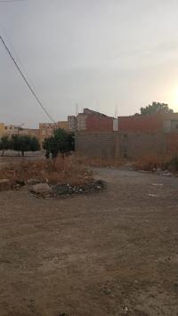 terrain-vente-ain-temouchent-tamzoura-algerie