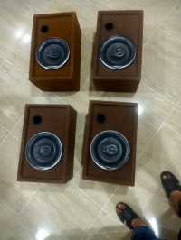 مكبر الصوت