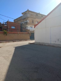 مستودع-مصنع-كراء-البليدة-الجزائر