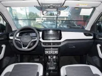Volkswagen Tahru 2025 Ruixiang