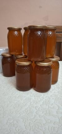 honey-and-derivatives-عسل-حر-متوفر-عندنا-مرحبا-بالجميع-draria-alger-algeria