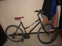 دراجات-هوائية-velo-بئر-الجير-وهران-الجزائر