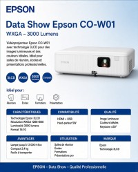 DATA SHOW EPSON CO-W01