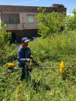 nettoyage-jardinage-jardinier-بستاني-لكل-أعمال-الغرس-و-الصيانة-reghaia-alger-algerie