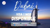 reservations-visa-dubai-said-hamdine-alger-algerie