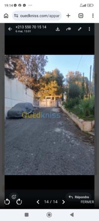 شقة-كراء-3-غرف-الجزائر-حيدرة