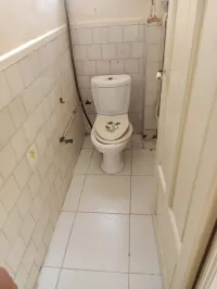 النظافة الجودة 