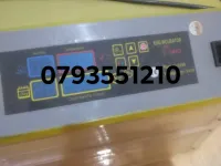 حضانة(فقاسة)