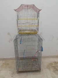 Volière oiseaux 
