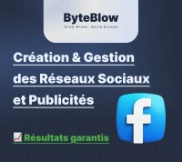 Gérer réseaux sociaux + publicité Facebook Instagram