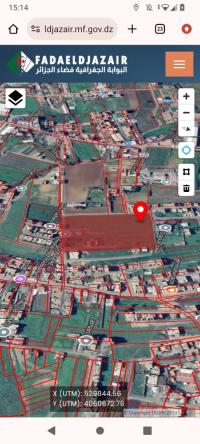 land-sell-boumerdes-ouled-moussa-algeria