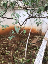 فيلا-بيع-الجزائر-عين-النعجة