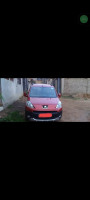 commerciale-peugeot-partner-2012-tepee-tlemcen-algerie