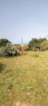 Vente Terrain Boumerdès Corso
