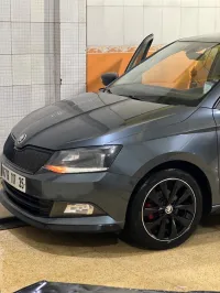 Skoda Fabia 2017 Monte Carlo