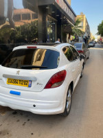 citadine-peugeot-207-2012-allure-beni-rached-chlef-algerie