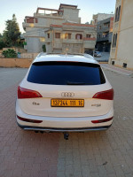 tout-terrain-suv-audi-q5-2011-off-road-pack-tech-ain-naadja-alger-algerie