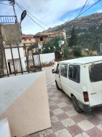 fourgon-ford-transit-ait-boumehdi-tizi-ouzou-algerie