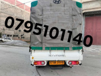 camion-hyundai-h100-2010-mila-algerie