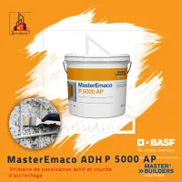 MASTEREMACO P 5000 AP- PRIMAIRE DE PASSIVATION ACTIF ET COUCHE D'ACCROCHAGE 1KG