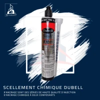 SCELLEMENT CHIMIQUE ANCRAGE F.1311 DUBELL EMS