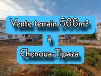 terrain-vente-tipaza-algerie