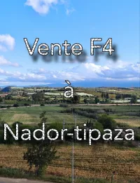 Vente Appartement F4 Tipaza Nador