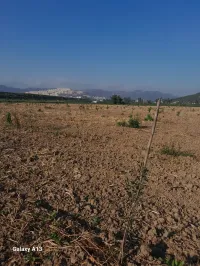 Vente Terrain Agricole Béjaïa Amizour
