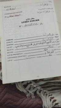 شقة-بيع-غرفتين-وهران-الجزائر