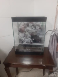 Aquarium complet avec Poissons 