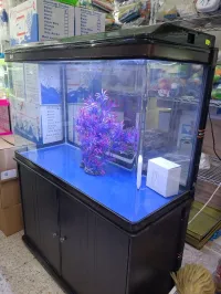 Aquariums d'importation avec meuble d'origine