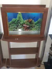 Aquarium plasma 60cm avec table 