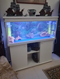 إكسسوارات-ومعدات-aquarium-12m-avec-meuble-dorigine-blanc-equipements-حمادي-بومرداس-الجزائر