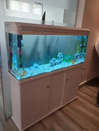 Aquariums d'importation 1m avec meuble d'origine