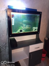 Aquarium plasma avec meuble 80cm