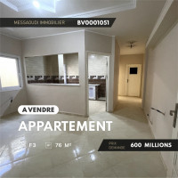 appartement-vente-f03-ain-defla-rouina-algerie