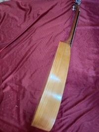 Mandole professionnel 