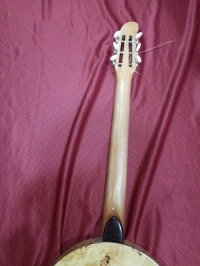Banjo professionnel chaabi