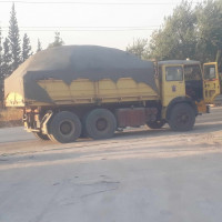 camion-fiat-619-1981-tizi-ouzou-algerie