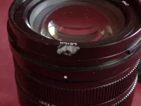 Panasonic Lumix 12-60mm 2.8 leica