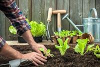 بيئة-محيط-jardinier-بودواو-بومرداس-الجزائر